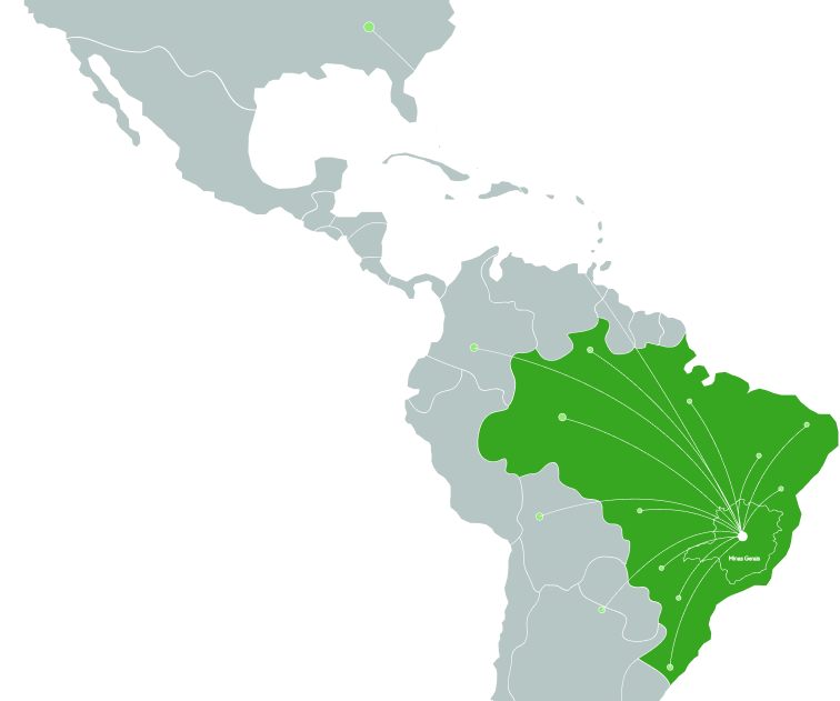 Atendimento nacional com execução estruturada.